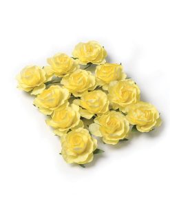 12 roses jaune